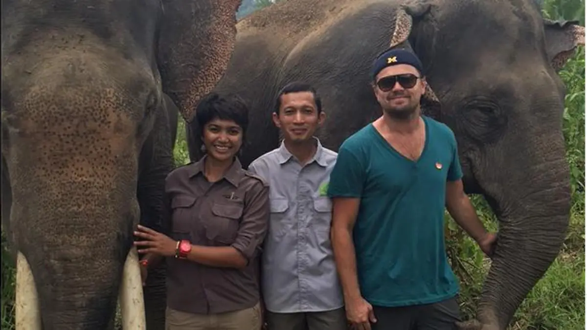 Leonardo DiCaprio und die Mitarbeiter von "Forest Nature and Environment Aceh" kämpfen für den Lebensraum dieser Elefanten