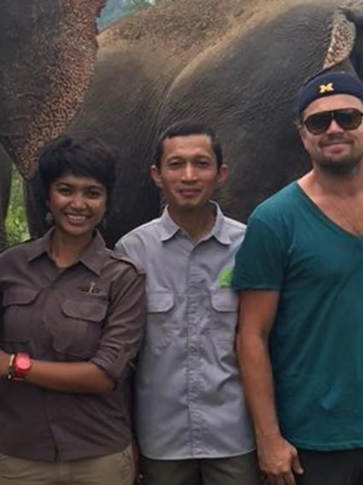 Leonardo DiCaprio und die Mitarbeiter von "Forest Nature and Environment Aceh" kämpfen für den Lebensraum dieser Elefanten