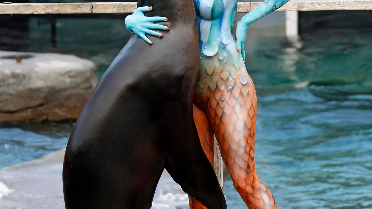 Daniela Buchholz, die Zweitplatziete der sechsten Staffel der RTL Fernsehshow 'Der Bachelor', bei einem Tierpfleger-Bodypaint Photoshooting als Nixe mit Seelöwe in der Yukon Bay Themenwelt vom Elebnis-Zoo Hannover als Teil des Projekts 'Working Art' der KünstlerJörg Düsterwald und Tschiponnique Skupin. Hannover, 10.06.2014