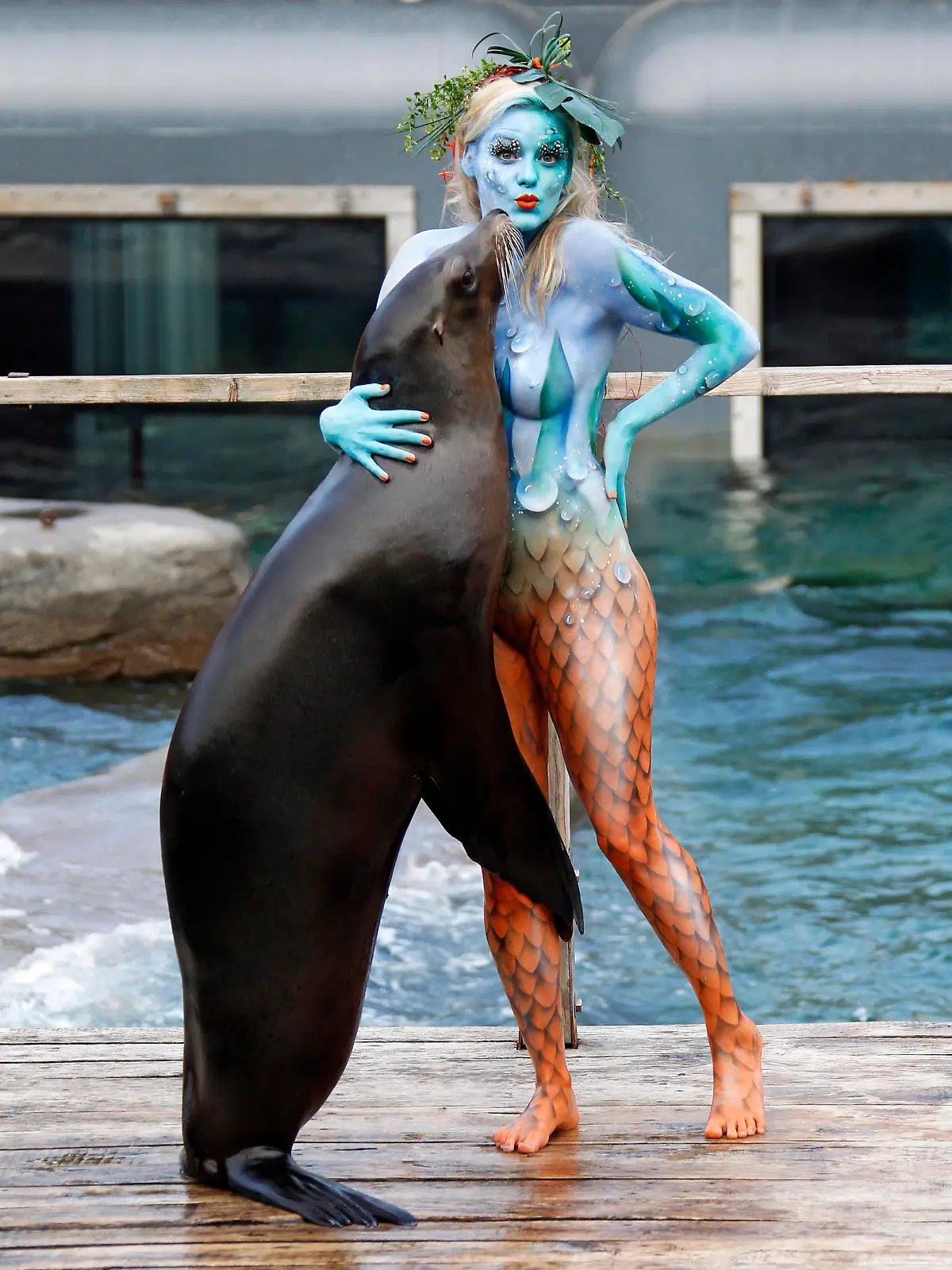 Daniela Buchholz, die Zweitplatziete der sechsten Staffel der RTL Fernsehshow 'Der Bachelor', bei einem Tierpfleger-Bodypaint Photoshooting als Nixe mit Seelöwe in der Yukon Bay Themenwelt vom Elebnis-Zoo Hannover als Teil des Projekts 'Working Art' der KünstlerJörg Düsterwald und Tschiponnique Skupin. Hannover, 10.06.2014