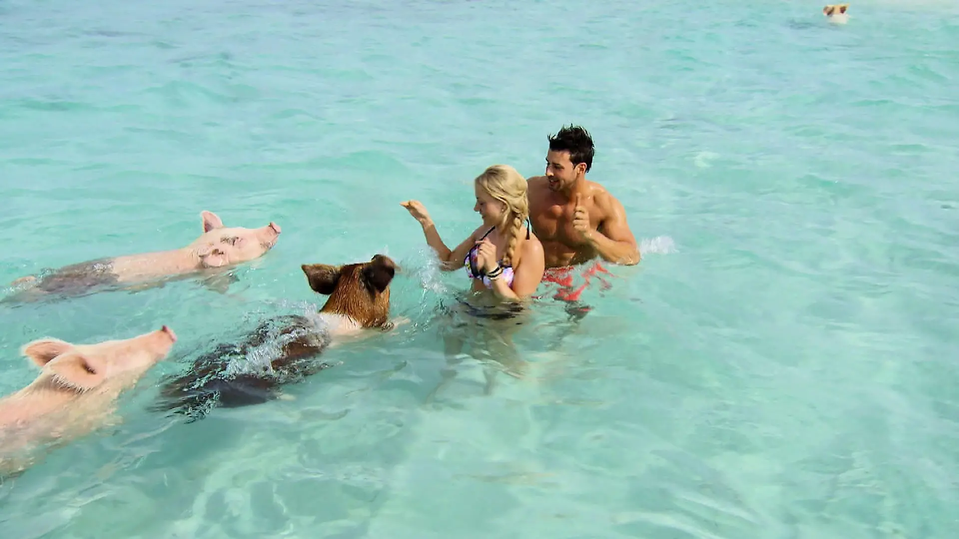 Leonie und Leonard genießen ihr Dreamdate auf den Bahamas. Verwendung der Bilder für Online-Medien ausschließlich mit folgender Verlinkung:'Alle Infos zu 'Der Bachelor' im Special bei RTL.de: http://www.rtl.de/cms/sendungen/der-bachelor.html