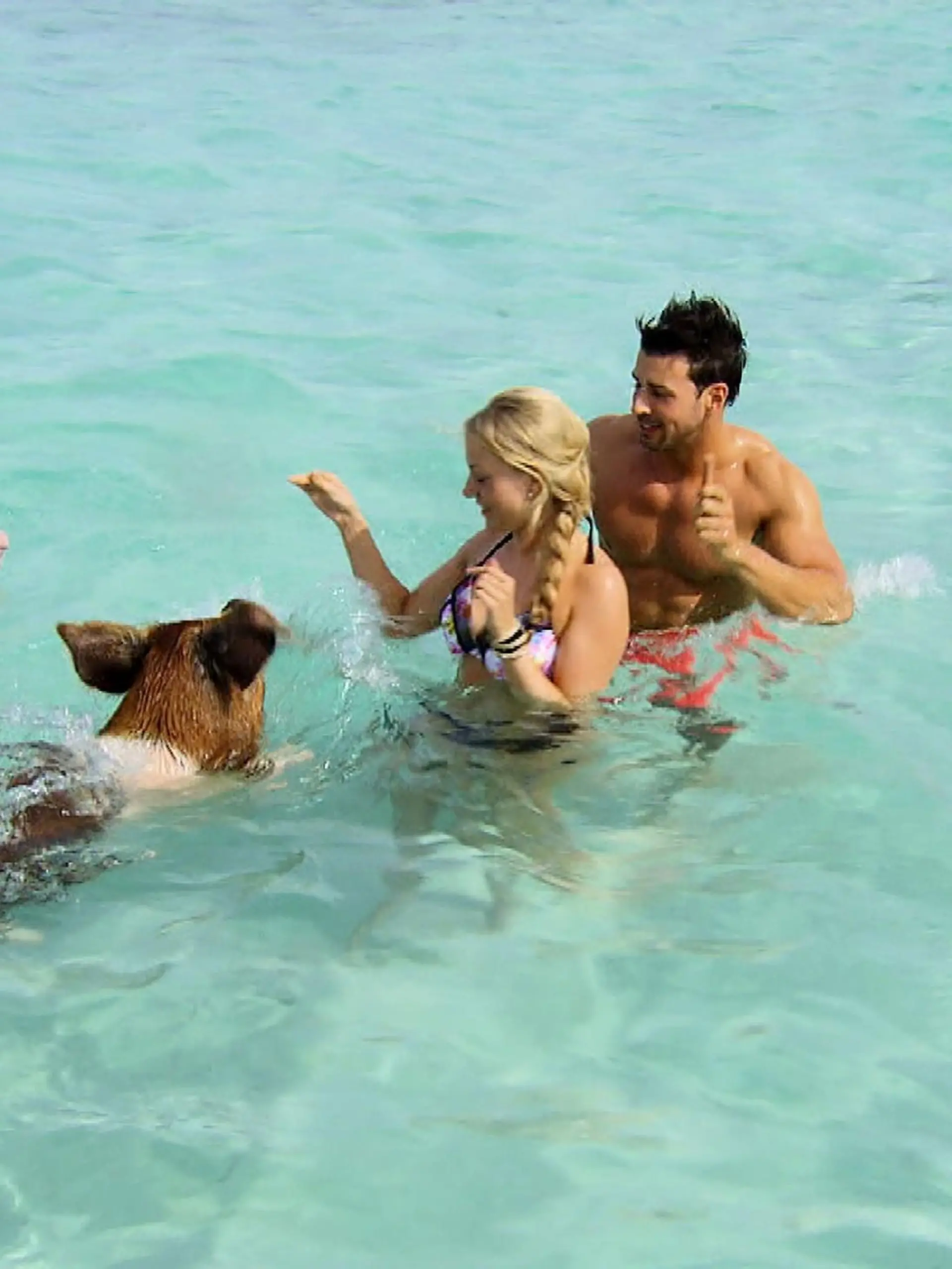 Leonie und Leonard genießen ihr Dreamdate auf den Bahamas.   Verwendung der Bilder für Online-Medien ausschließlich mit folgender Verlinkung:'Alle Infos zu 'Der Bachelor' im Special bei RTL.de: http://www.rtl.de/cms/sendungen/der-bachelor.html