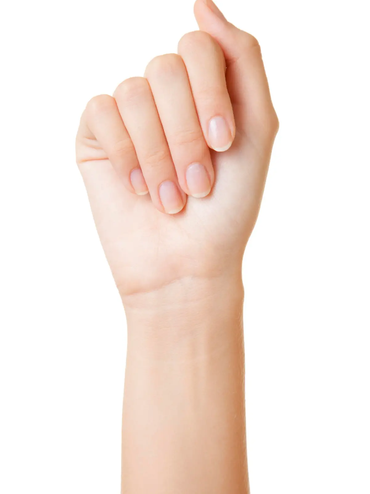 woman's hand on white background
