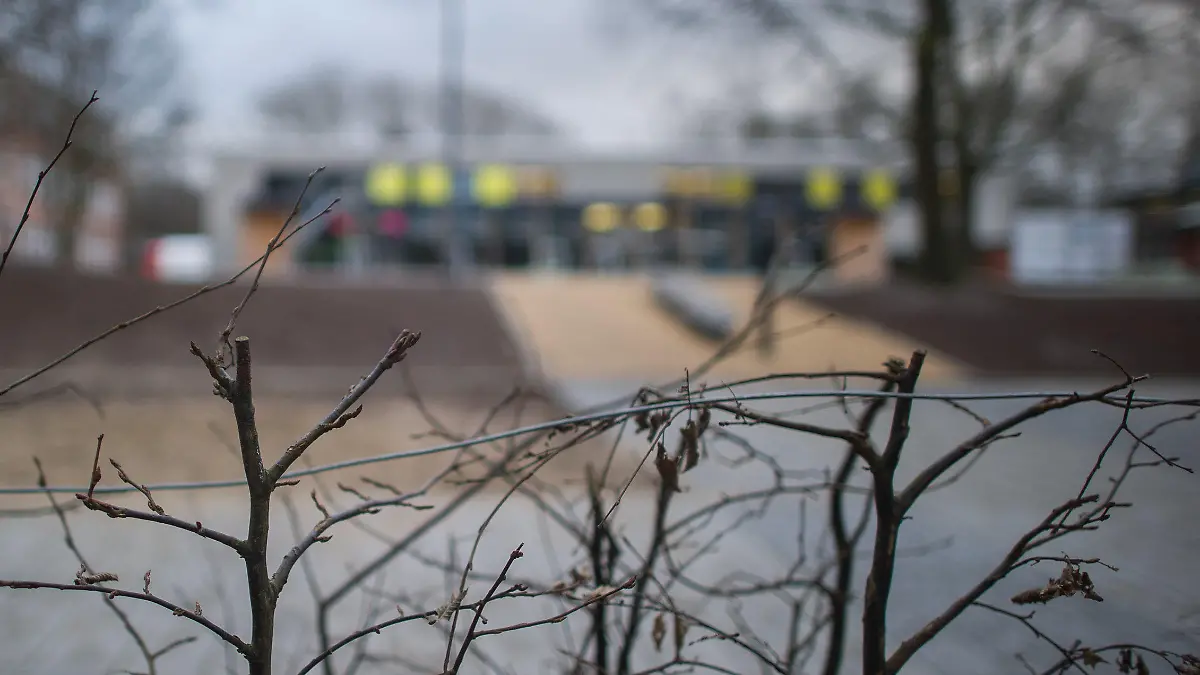 Sträucher stehen am 02.02.2016 im Stadtteil Gaarden in Kiel (Schleswig-Holstein) an einem Schulhof. Ein 30-Jähriger soll ein siebenjähriges Mädchen in Kiel verschleppt und sexuell schwer missbraucht haben. Nach ersten Erkenntnissen soll der Mann das spielende Mädchen am Sonntagvormittag auf einem Schulhof angesprochen und unter einem Vorwand in seine Wohnung gelockt haben. Foto: Lukas Schulze/dpa (zu dpa "Siebenjährige in Kiel verschleppt und vergewaltigt" vom 02.02.2016) +++(c) dpa - Bildfunk+++
