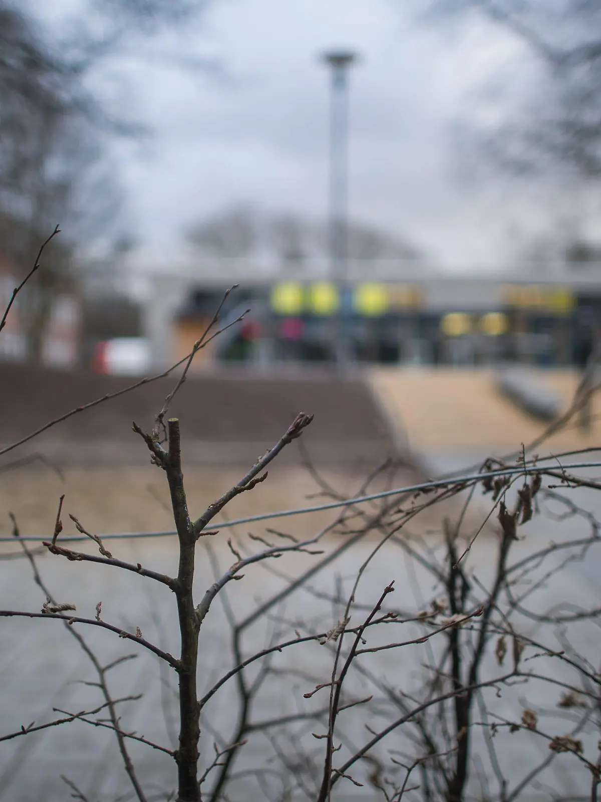 Sträucher stehen am 02.02.2016 im Stadtteil Gaarden in Kiel (Schleswig-Holstein) an einem Schulhof. Ein 30-Jähriger soll ein siebenjähriges Mädchen in Kiel verschleppt und sexuell schwer missbraucht haben. Nach ersten Erkenntnissen soll der Mann das spielende Mädchen am Sonntagvormittag auf einem Schulhof angesprochen und unter einem Vorwand in seine Wohnung gelockt haben. Foto: Lukas Schulze/dpa (zu dpa "Siebenjährige in Kiel verschleppt und vergewaltigt" vom 02.02.2016) +++(c) dpa - Bildfunk+++