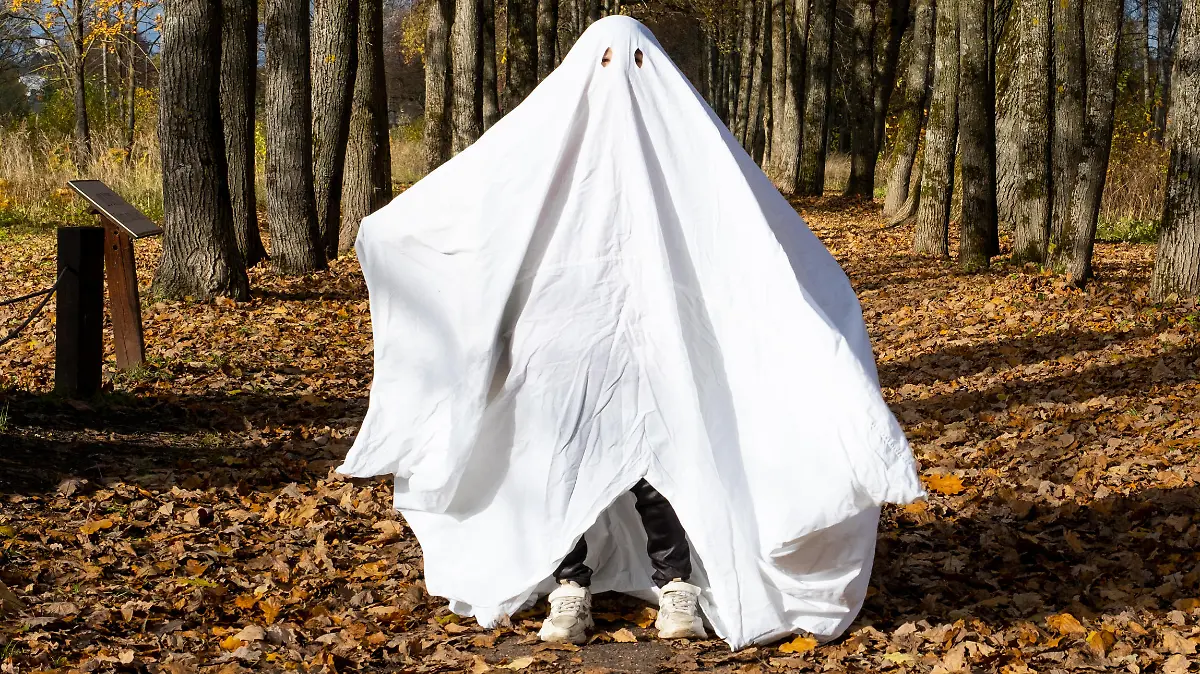 A child in sheets with cutout for eyes like a ghost costume in an autumn forest scares and terrifies. A kind little funny ghost. Halloween Party || Modellfreigabe vorhanden