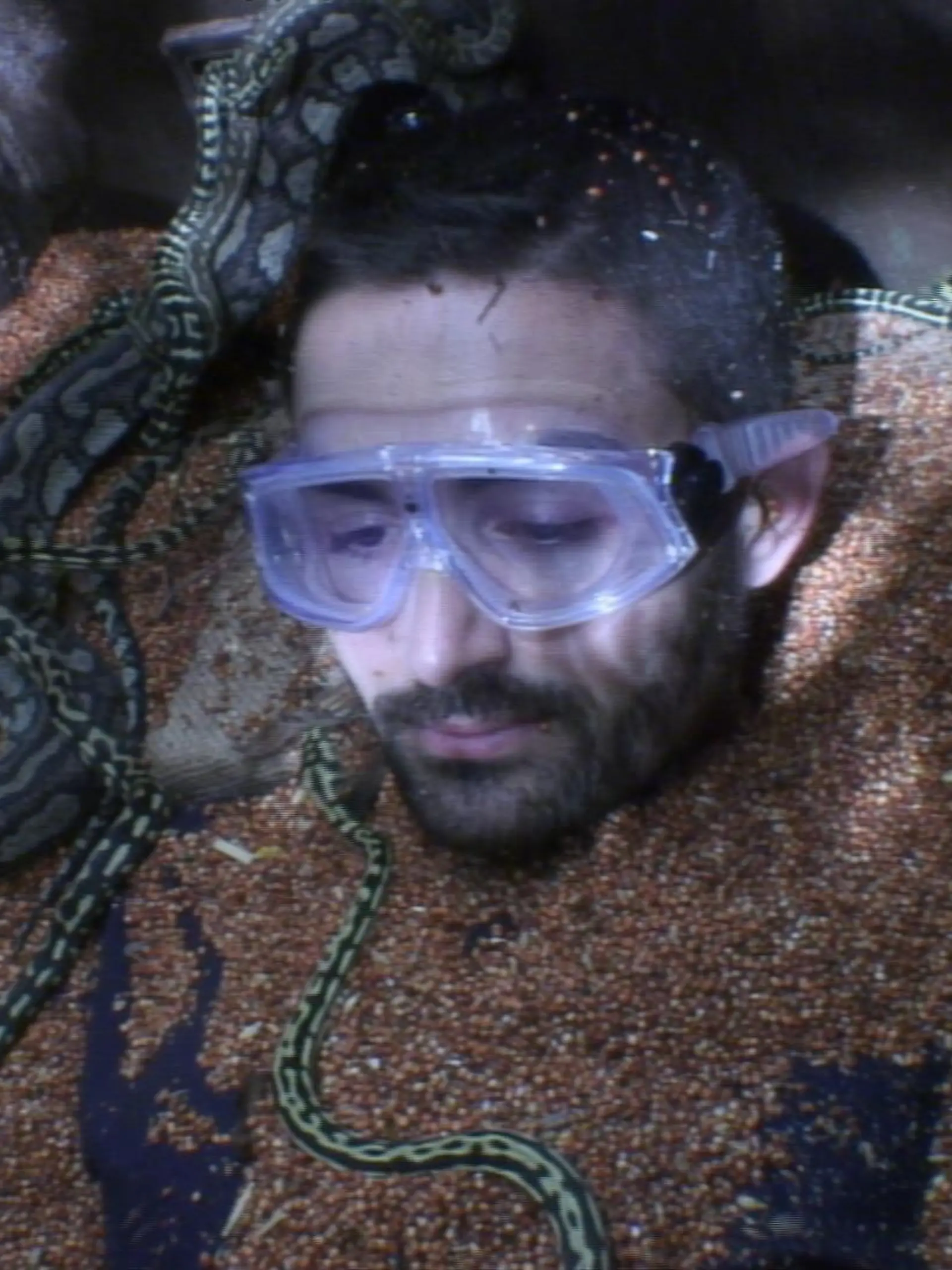 Tag 16 - Dschungelprüfung 17, Teil 3 "Come on"": Finalist Menderes Bagci bei seiner letzten Dschungelprüfung. Das DSDS-Urgestein musste fünf Minuten in einem Erdloch in absoluter Dunkelheit zusammen mit 40 Schlangen aushalten. In der unterirdischen Kammer wurde er erst mal mit Sand überschüttet. Aufgeben war für ihn keine Option. Nach fünf Minuten in Gesellschaft mit den Schlangen wird die Grube geöffnet. Menderes hat alle fünf Sternen mühelos erspielt. # Foto: RTL

Verwendung der Bilder für Online-Medien ausschließlich mit folgender Verlinkung: "Alle Infos zu "Ich bin ein Star - Holt mich hier raus!" im Special bei RTL.de: http://www.rtl.de/cms/sendungen/ich-bin-ein-star.html

NUR ZUR EINMALIGEN VERÖFFENTLICHUNG ! KEINE WEITERGABE AN DRITTE ! 
KEINE VERWENDUNG NACH DEM 09.02.2016 !! KEINE ARCHIVIERUNG !

Suchbegriff: Dschungelcamp *** Local Caption *** Verwendung der Bilder für Online-Medien ausschließlich mit folgender Verlinkung: "Alle Infos zu "Ich bin ein Star - Holt mich hier raus!" im Special bei RTL.de: http://www.rtl.de/cms/sendungen/ich-bin-ein-star.html

NUR ZUR EINMALIGEN VERÖFFENTLICHUNG ! KEINE WEITERGABE AN DRITTE ! 
KEINE VERWENDUNG NACH DEM 09.02.2016 !! KEINE ARCHIVIERUNG !

Suchbegriff: Dschungelcamp