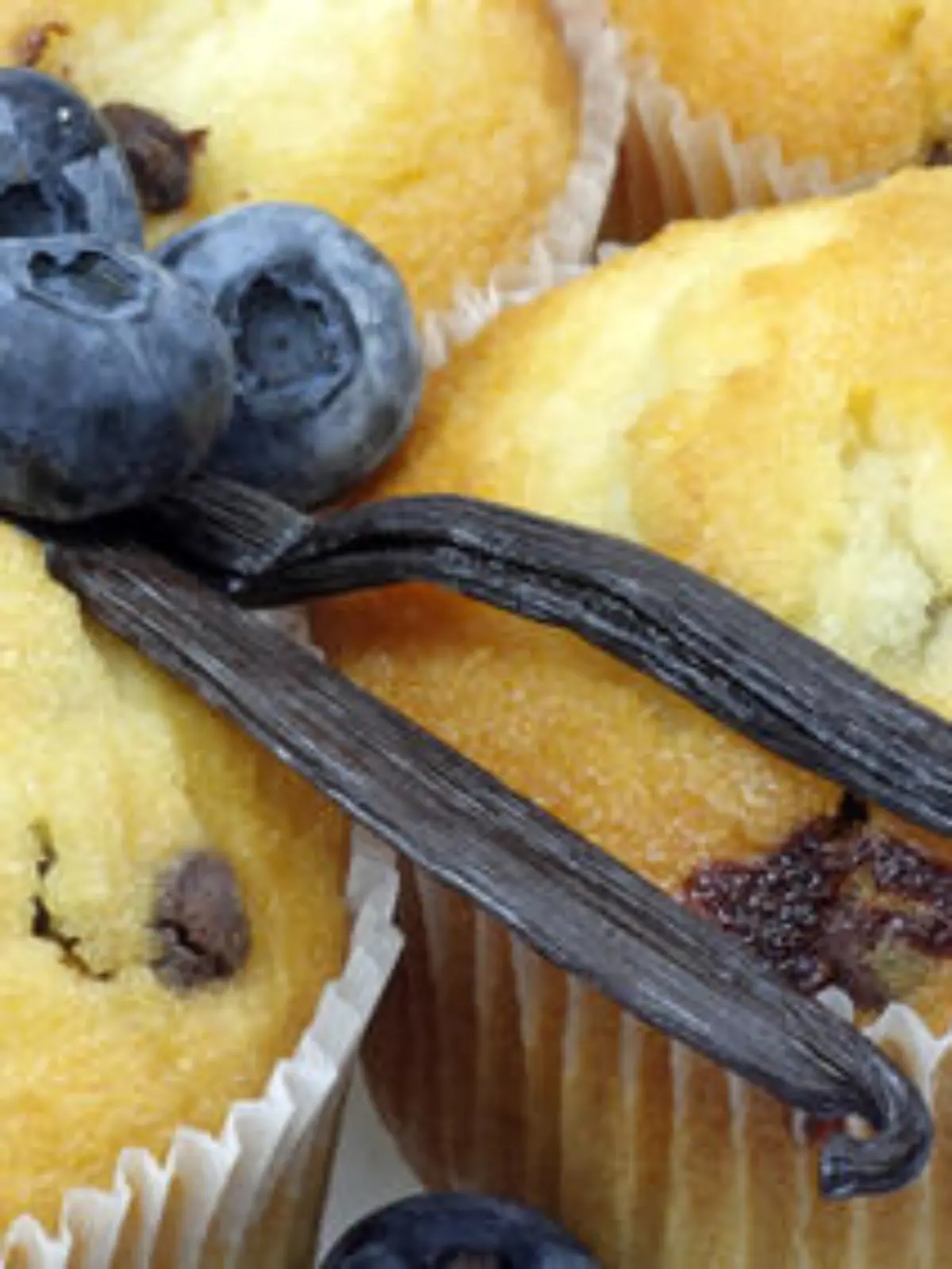 Blaubeermuffins mit frischen Früchten und Vanilleschoten im Detail