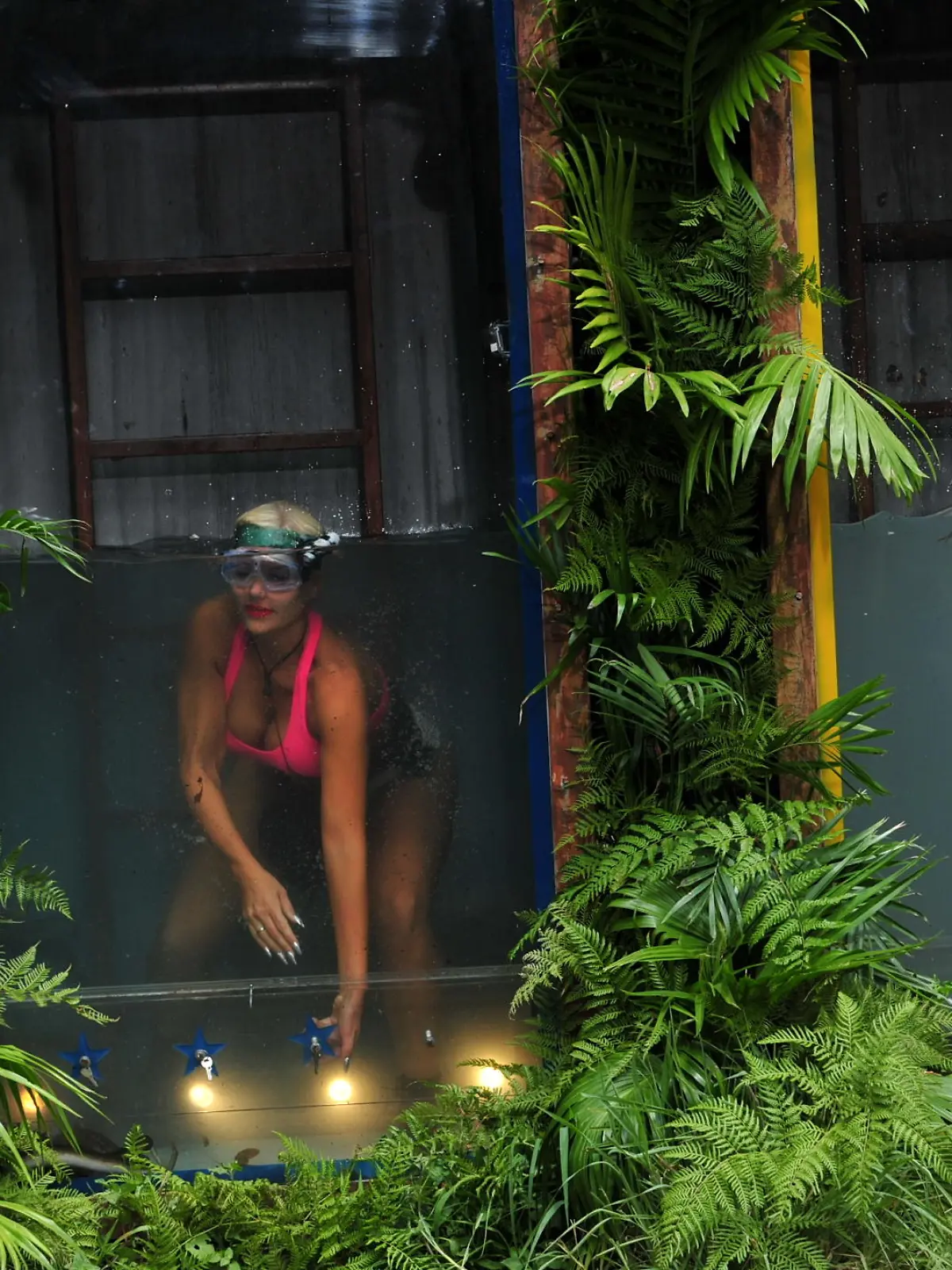 Tag 1 - Dschungel-Duell 2 'Tierischer Einlauf': 'Base Camp' gegen 'Snake Rock' - der Kampf der Teams geht in die nächste Runde. In einen Wassertank eingesperrt müssen die Stars eine mit sechs Schlössern verschlossene Luke öffnen. Zu Gast im Wassertank: Wasserspinnen, Schlammkrabben, Flusskrebse und Aale. Sophia Wollersheim und Menderes geben alles. Menderes ist jedoch schneller. # Foto: RTL / Stefan MenneVerwendung der Bilder für Online-Medien ausschließlich mit folgender Verlinkung: 'Alle Infos zu 'Ich bin ein Star - Holt mich hier raus!' im Special bei RTL.de: http://www.rtl.de/cms/sendungen/ich-bin-ein-star.htmlNUR ZUR EINMALIGEN VERÖFFENTLICHUNG ! KEINE WEITERGABE AN DRITTE ! KEINE VERWENDUNG NACH DEM 09.02.2016 !! KEINE ARCHIVIERUNG !Suchbegriff: Dschungelcamp