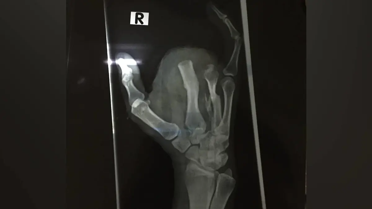 Yasmine Sebers Hand
