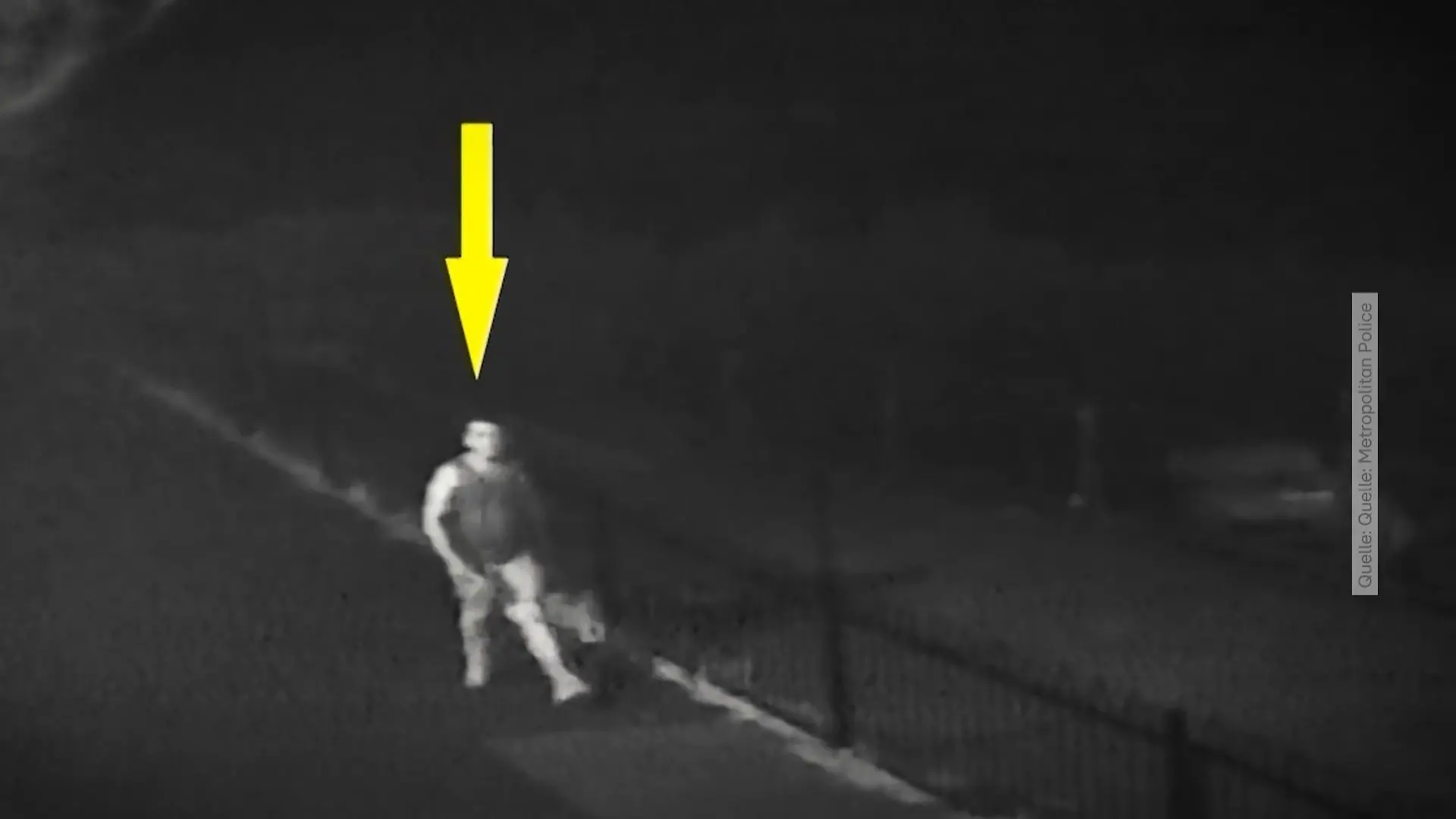 Mord an Zara Aleena: Täter Jordan McSweeney