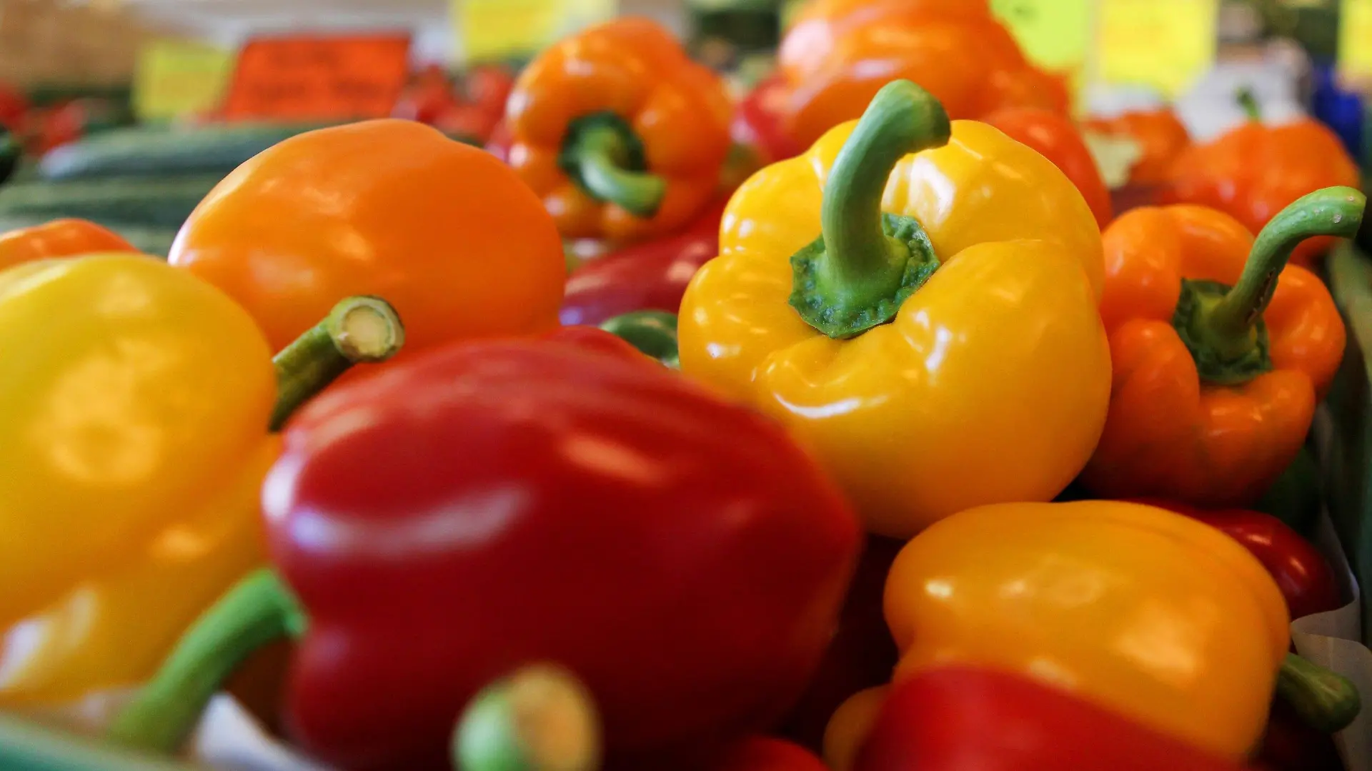 Paprika aus dem Knoblauchsland liegen am Mittwoch (25.05.2011) in einem Gemüsehof in Nürnberg (Mittelfranken) zum Verkauf in einer Kiste. Die Gemüse-Branche rätselt zur Zeit über die Ursachen des gefährlichen EHEC-Erregers beim Gemüse, so der Geschäftsführer des Erzeugerrings Knoblauchsland. Bei Verbrauchern und Gemüsebauern in Bayern steigt die Verunsicherung wegen des Erregers. Das Knoblauchsland im Norden von Nürnberg ist das größte zusammenhängende Gebiet für Gemüseanbau im Freistaat. Foto: Daniel Karmann dpa/lby  +++(c) dpa - Bildfunk+++