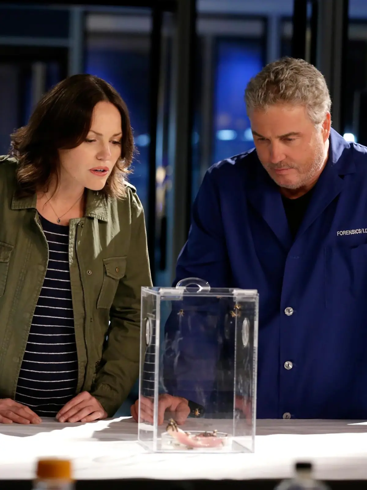 Sara (Jorja Fox) ist fasziniert davon, wie Gil (William Petersen) sich den Orientierungssinn der Bienen zu Nutze machen will, um den gesuchten Attentäter ausfindig zu machen.
