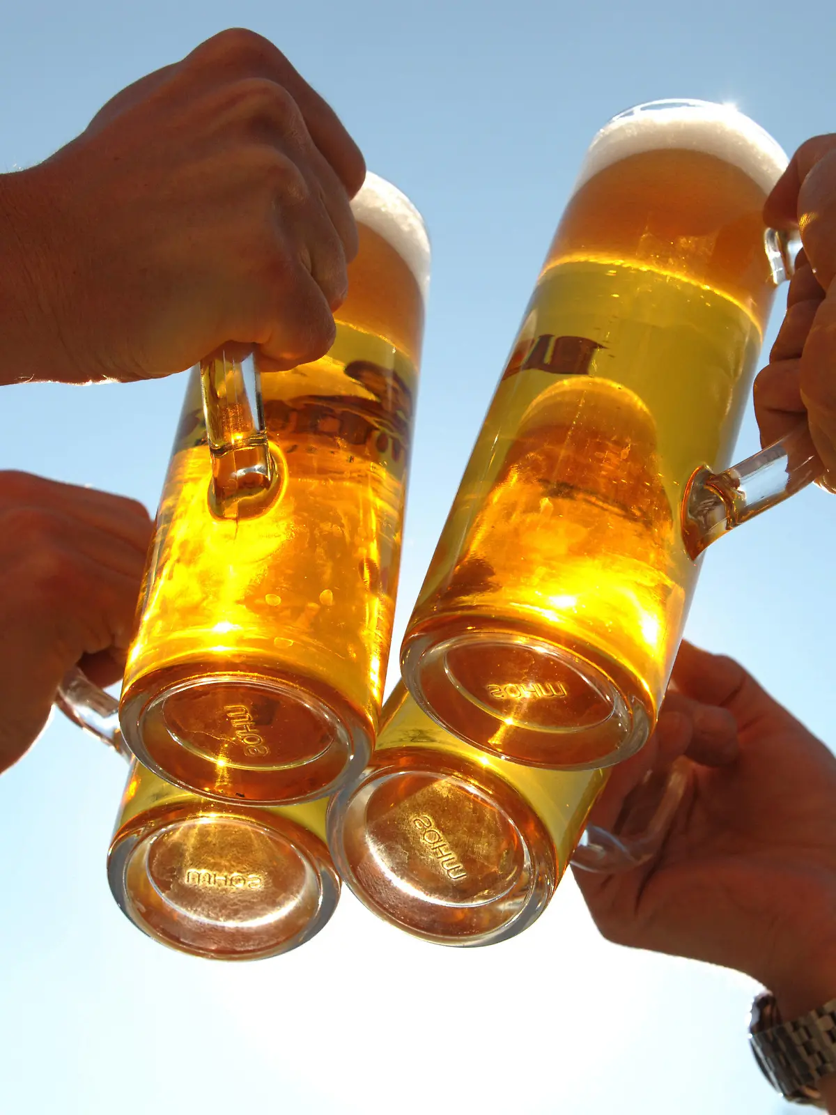 ARCHIV - Vier Personen stoßen mit vier Gläsern Bier an, aufgenommen am 21.04.2009 in Leipzig. Die Menschen in Deutschland haben wieder mehr Durst auf Bier. Im ersten Halbjahr setzten Brauereien und Bierlager rund 49,5 Millionen Hektoliter des Gerstensaftes ab - 1 Prozent oder 0,5 Millionen Hektoliter mehr als im Vorjahreszeitraum, wie das Statische Bundesamt am Donnerstag (28.07.2011) in Wiesbaden mitteilte. Foto: Peter Endig dpa  +++(c) dpa - Bildfunk+++