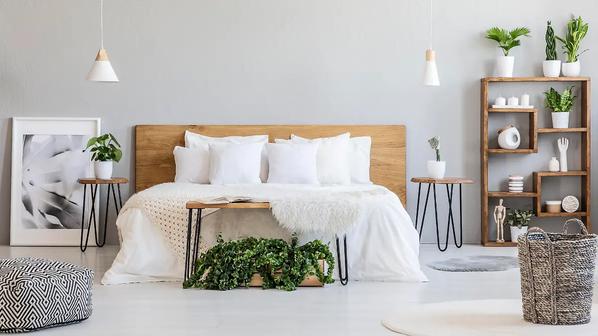 Pflanzen fürs Schlafzimmer