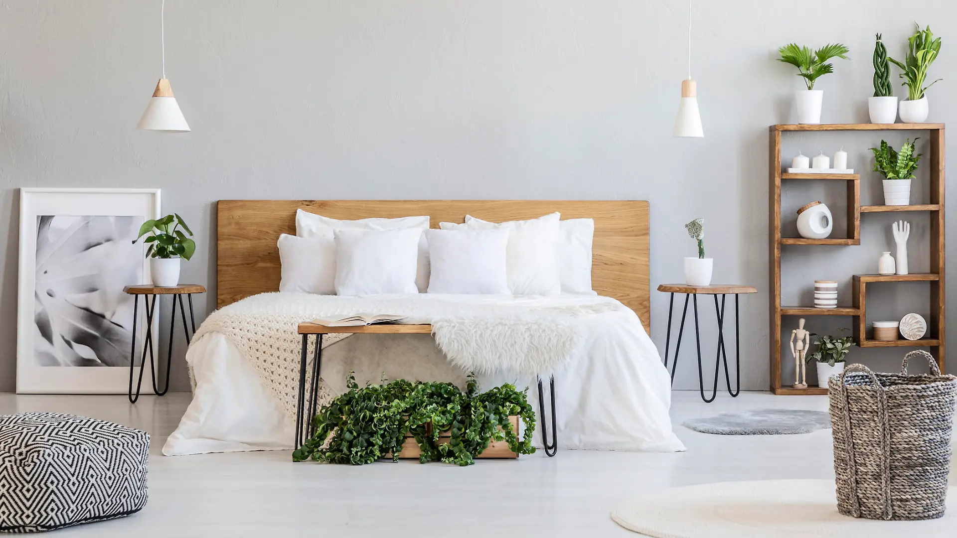 Pflanzen fürs Schlafzimmer