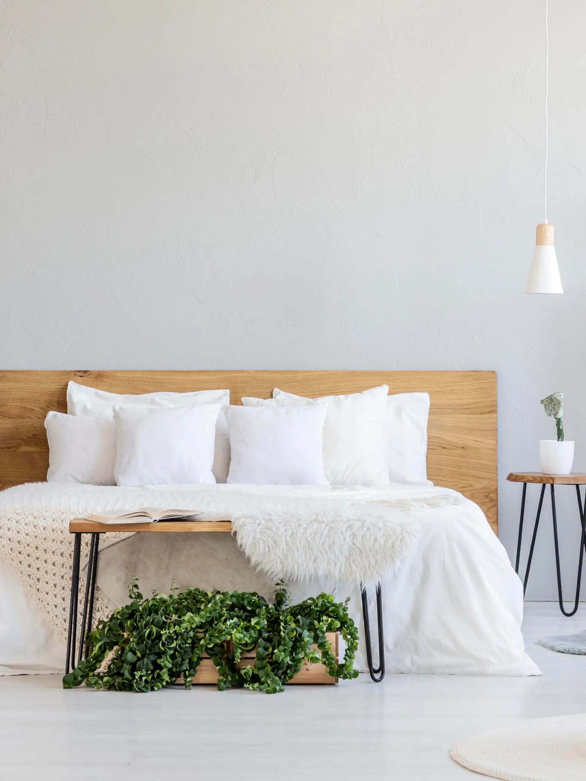 Pflanzen fürs Schlafzimmer