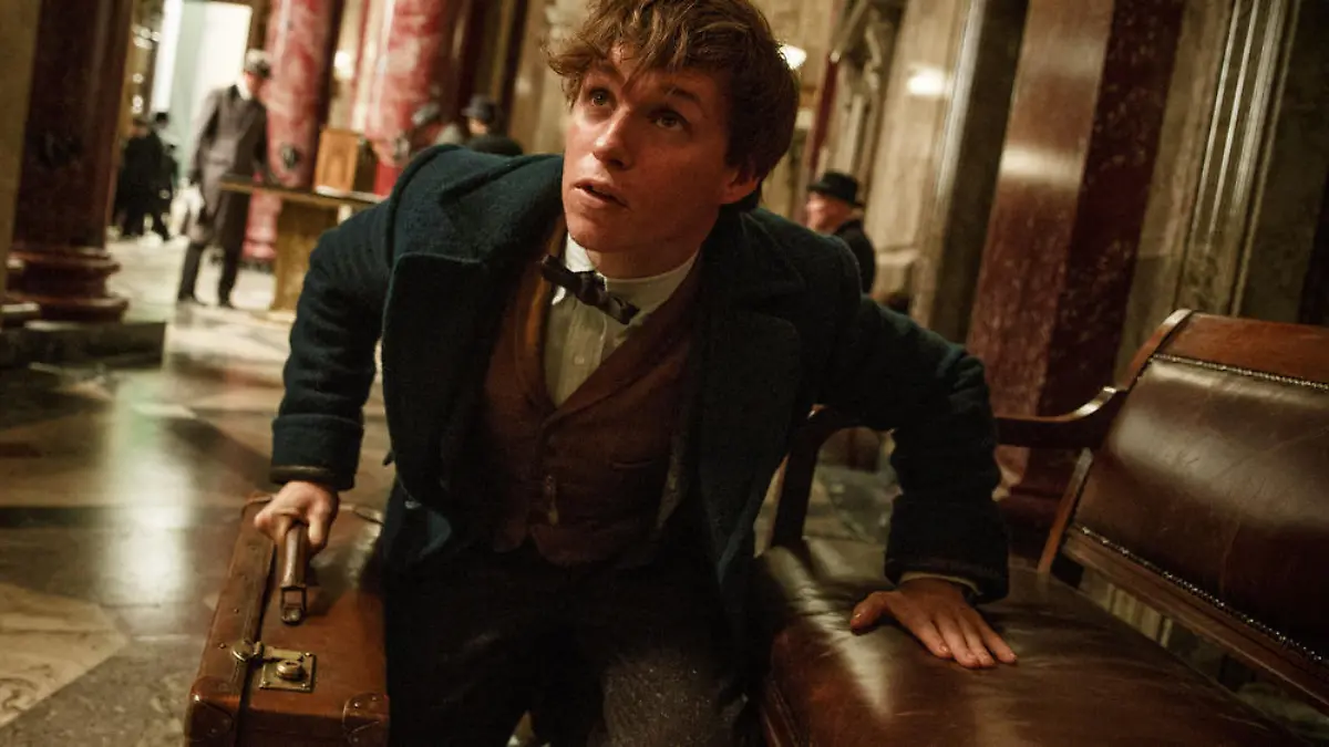 Eddie Redmayne als Newt Scamander in "Fantastic Beasts And Where To Find Them"
