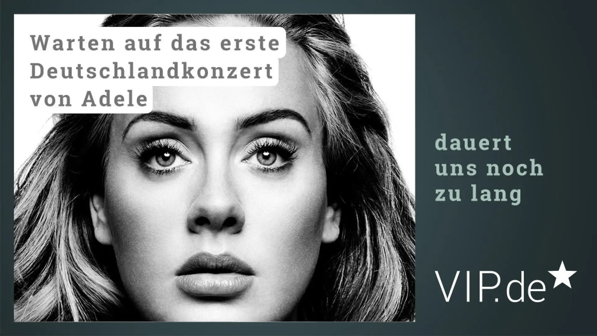 Adele VIP