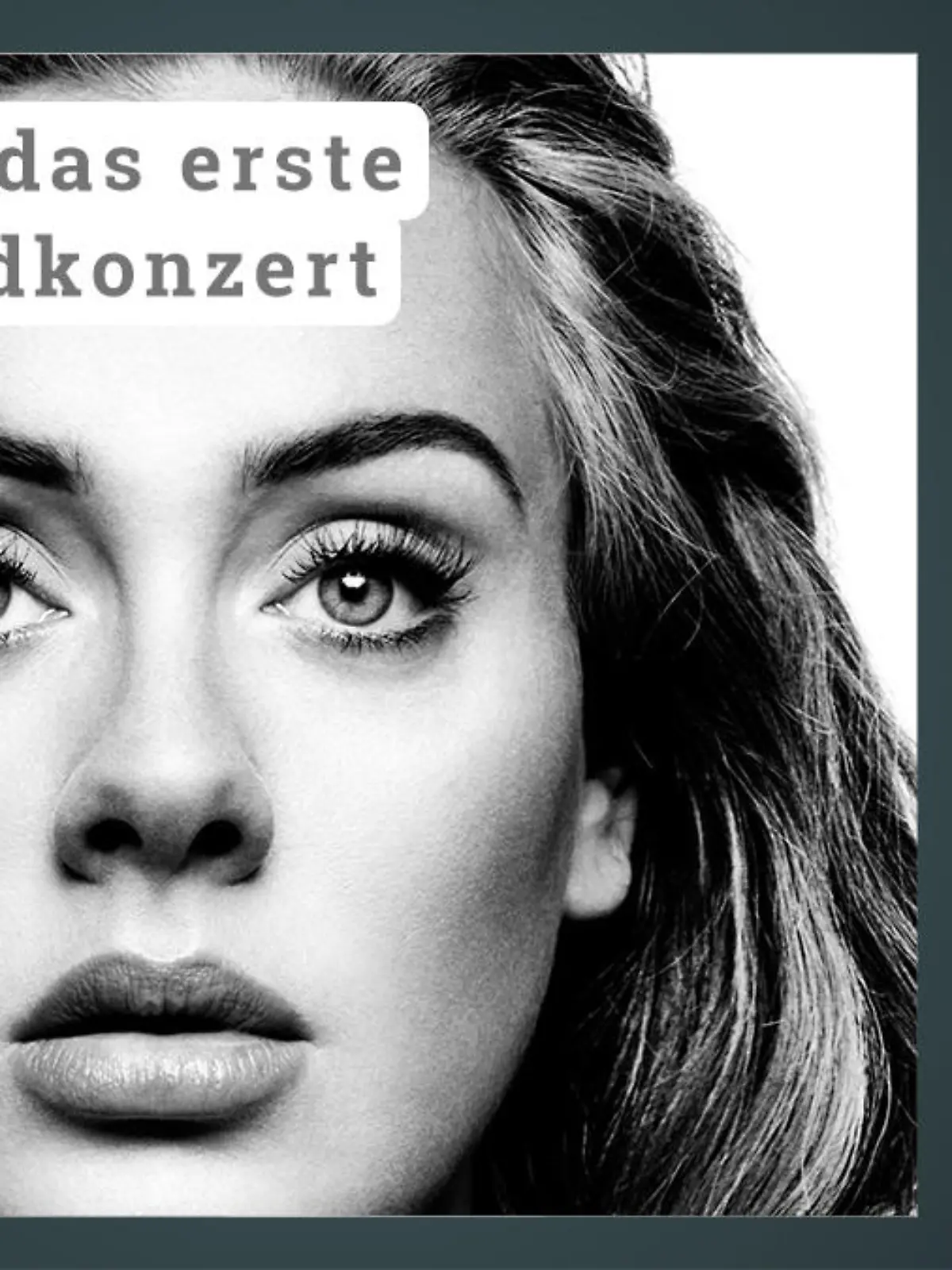 Adele VIP