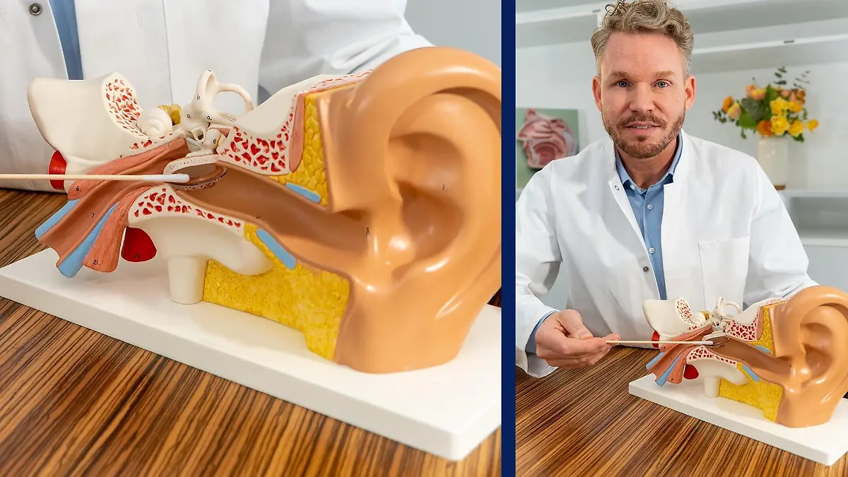 Prof. Dr. med. Mark Jakob erklärt, wieso Ohrenstäbchen schädlich sind.
