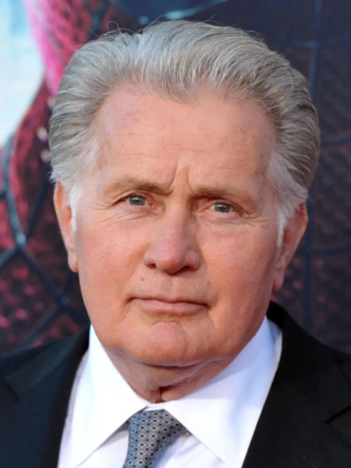 Martin Sheen steht hinter seinem Sohn