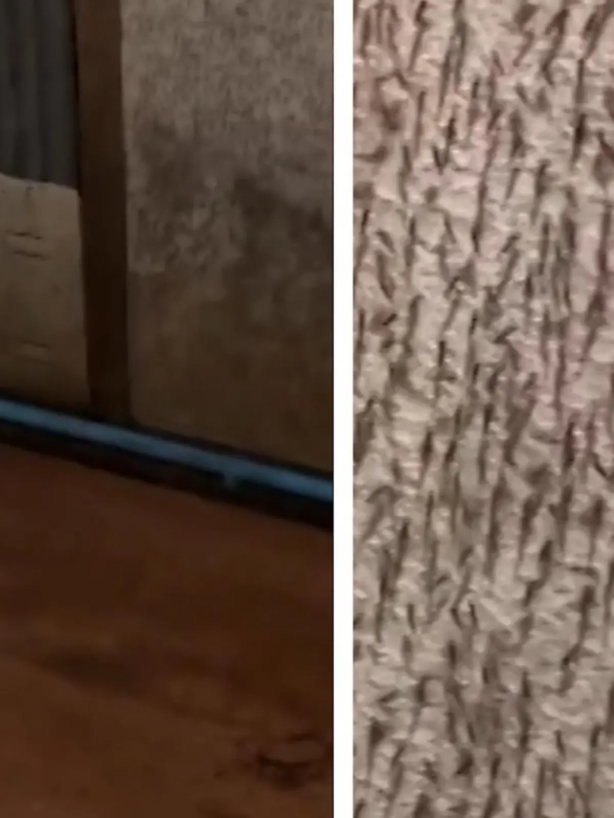 Diese Mücken-Invasion in einem Badezimmer in Thailand gleicht einem Horror-Film - im Video.