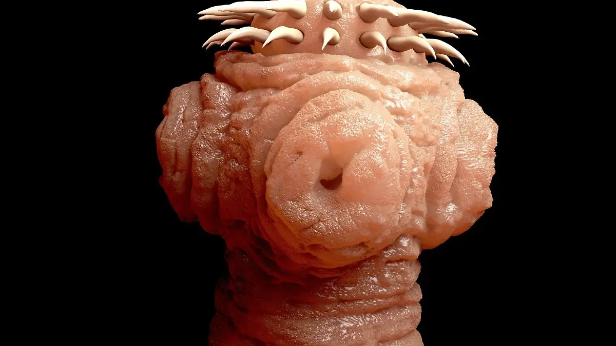 bandwurm.jpg