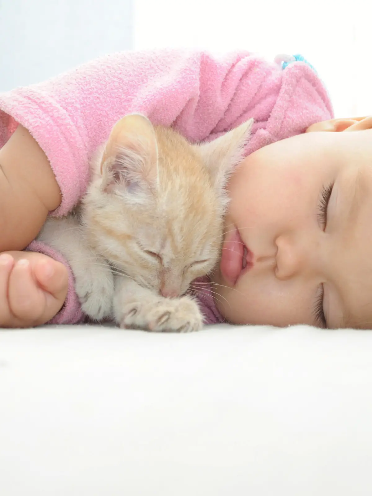 Baby and cat sleeping together on white sheet