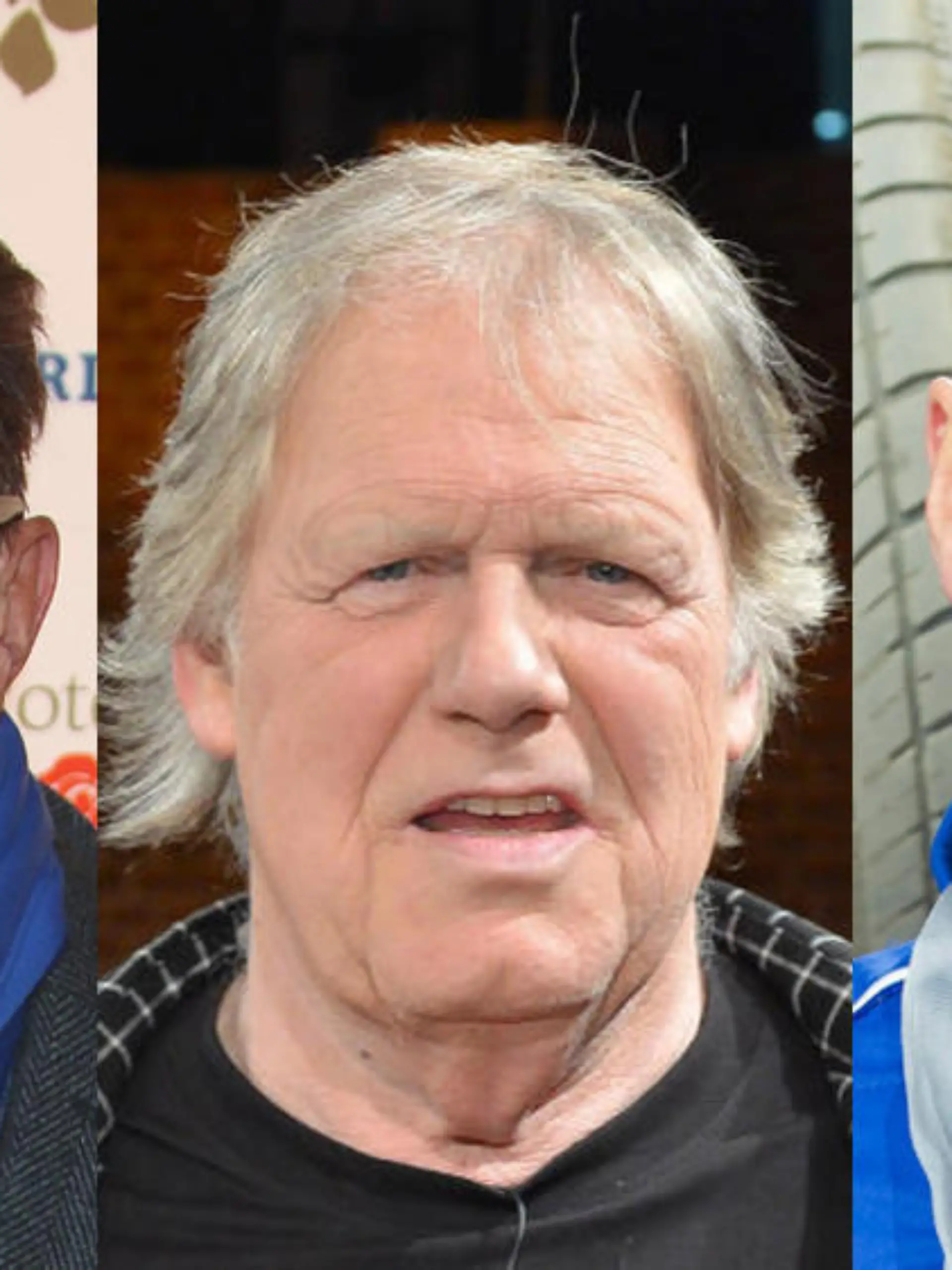 Rolf Zacher, Gunter Gabriel und Thorsten Legat (v.l.) ziehen angeblich ins Dschungelcamp