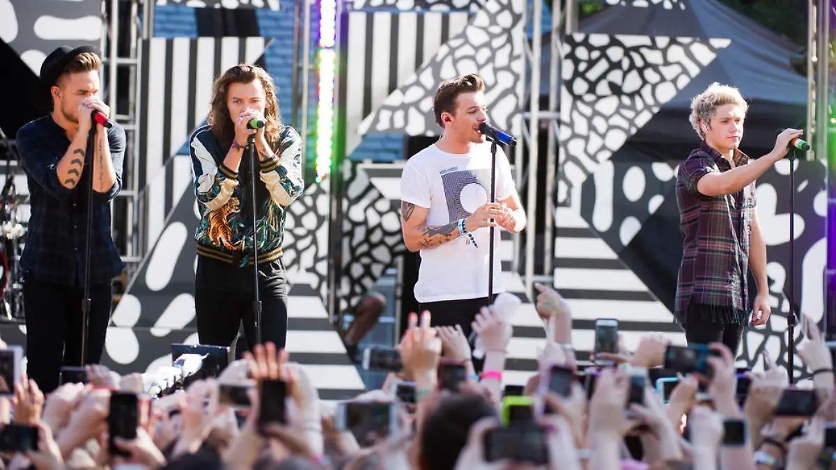 Die vier Jungs von One Direction werden für längere Zeit nicht mehr gemeinsam auf der Bühne stehen