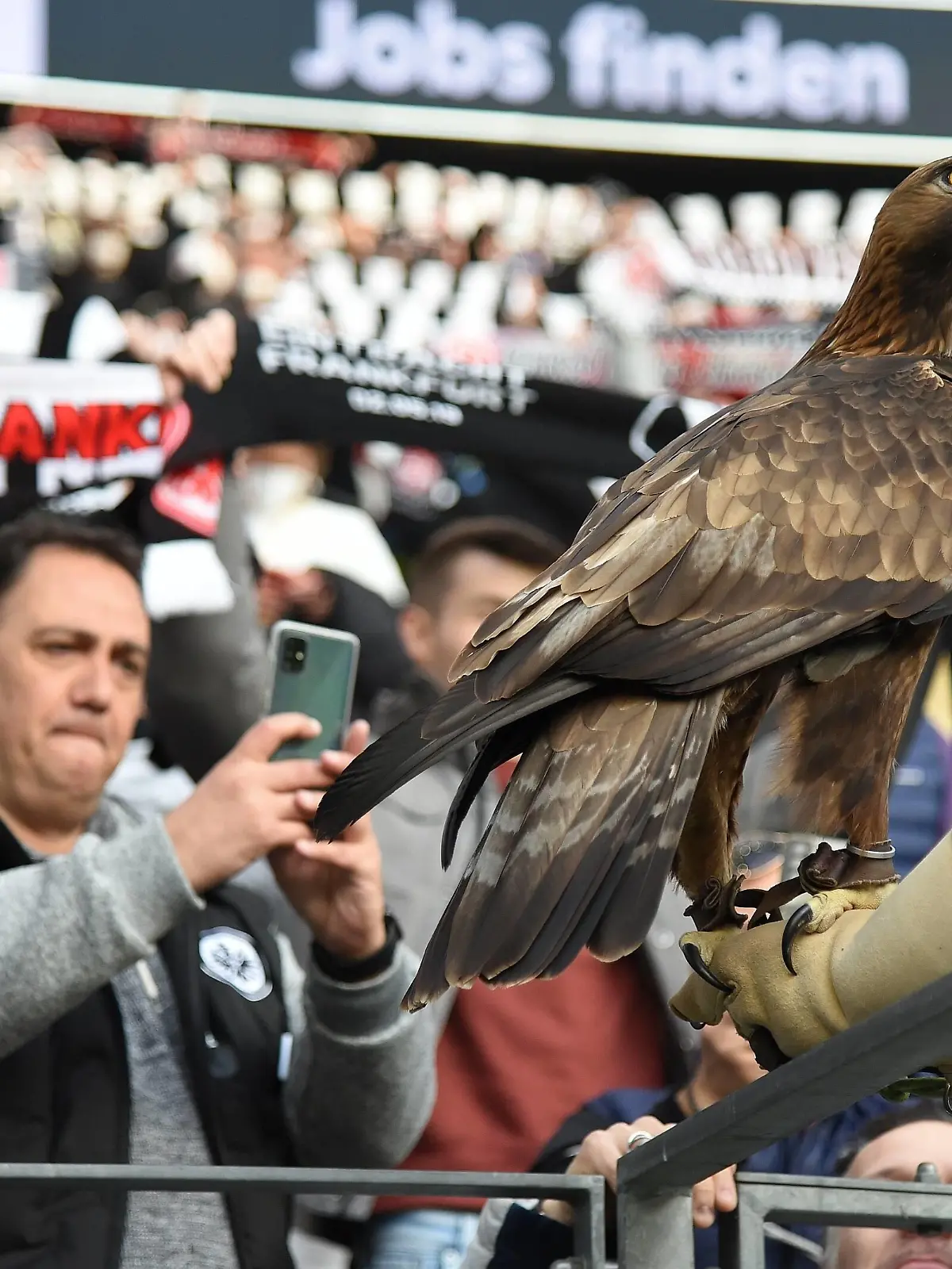  13.03.2022 Frankfurt am Main, Deutsche Bank Park Fussball, 1. Bundesliga, Saison 2021/2022 Eintracht Frankfurt - VfL Bochum Eintracht Frankfurt Maskottchen Adler Attila emspor, DFL regulations prohibit any use of photographs as image sequences and/or quasi-video *** 13 03 2022 Frankfurt am Main, Deutsche Bank Park Football, 1 Bundesliga, Season 2021 2022 Eintracht Frankfurt VfL Bochum Eintracht Frankfurt Mascot Eagle Attila emspor, DFL regulations prohibit any use of photographs as image sequences and or quasi video