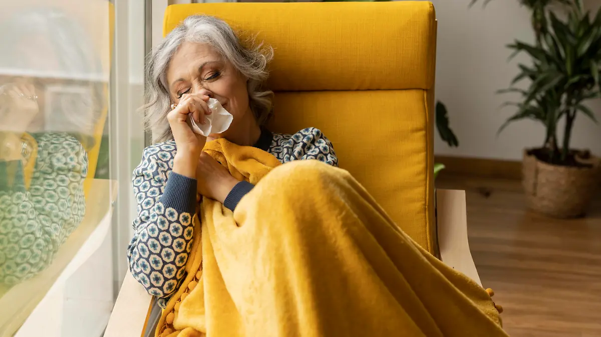 Mature woman with tissue blowing nose by window at home model released, Symbolfoto property released, JCCMF10163