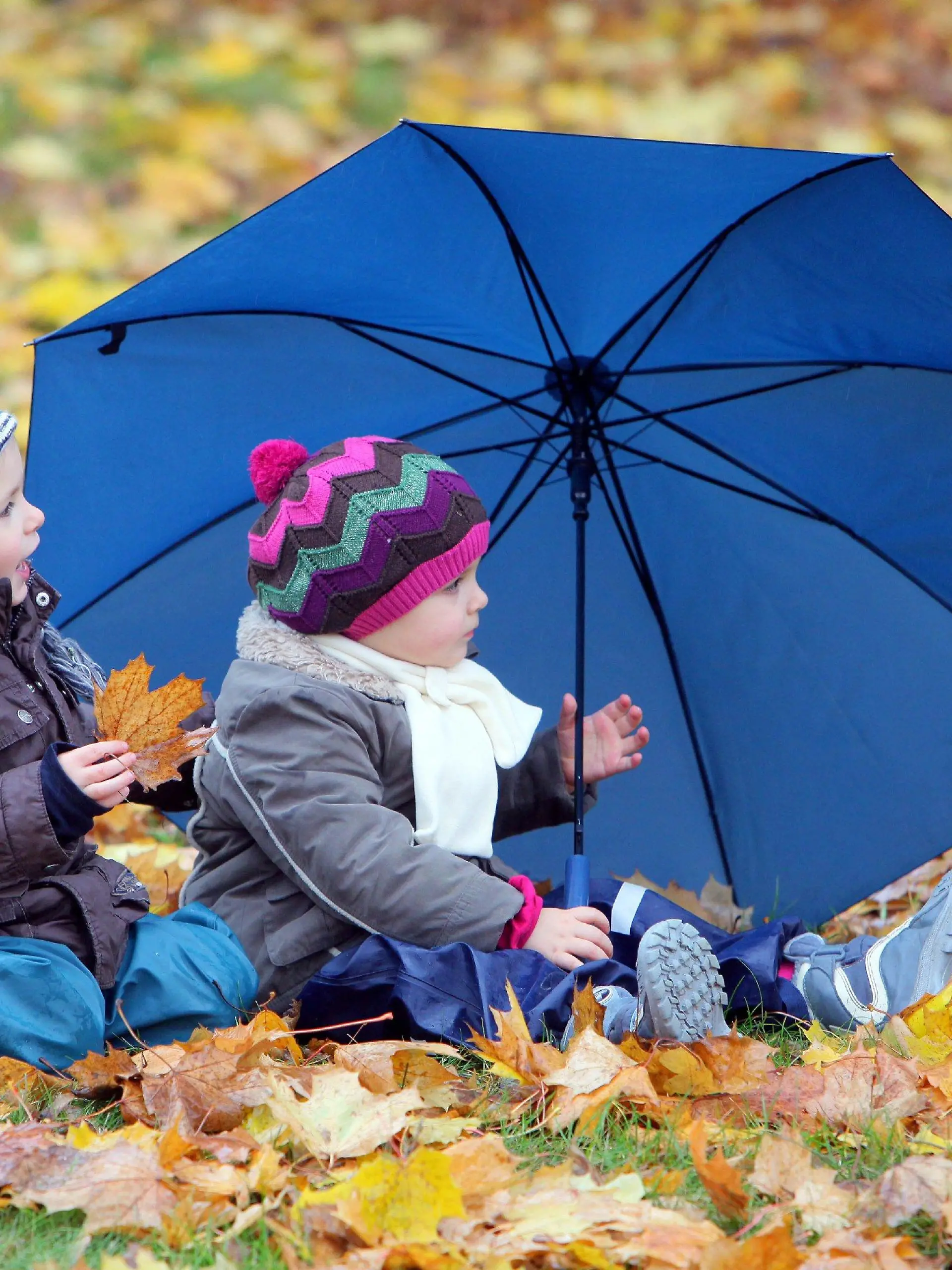 Die beiden Kinder Amy (r) und Jannik aus dem brandenburgischen Sieversdorf (Oder-Spree) sitzen am Sonntag (25.10.2009) bei Regen und trüben Herbstwetter im Garten und haben viel Spaß mit dem bunten Herbstlaub. Foto: Patrick Pleul dpa/lbn +++(c) dpa - Bildfunk+++
