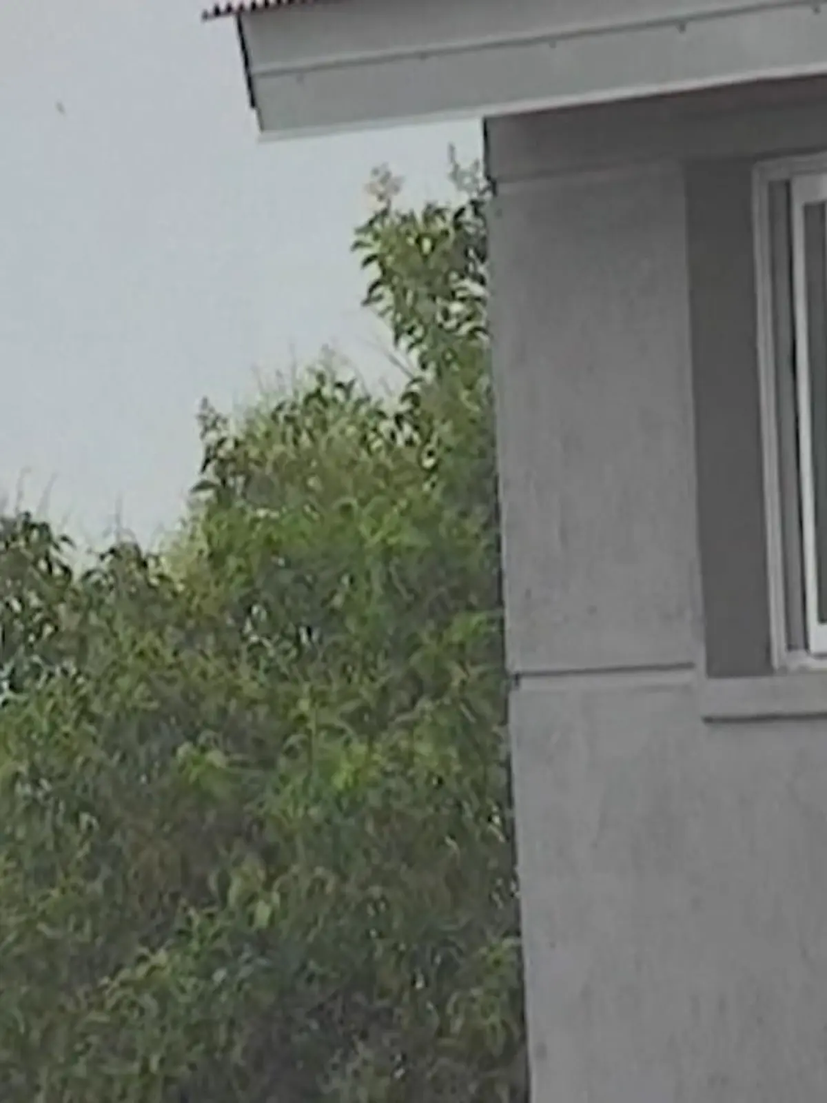 Mehr als 30 Sekunden balanciert ein zweijähriges Baby auf dem Fensterrahmen – in knapp vier Metern Höhe! Die dramatischen Szenen im Video, 