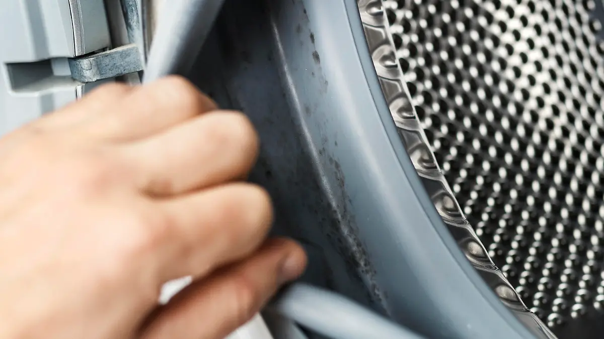 The hand shows the mold in the cuff of the washing machine