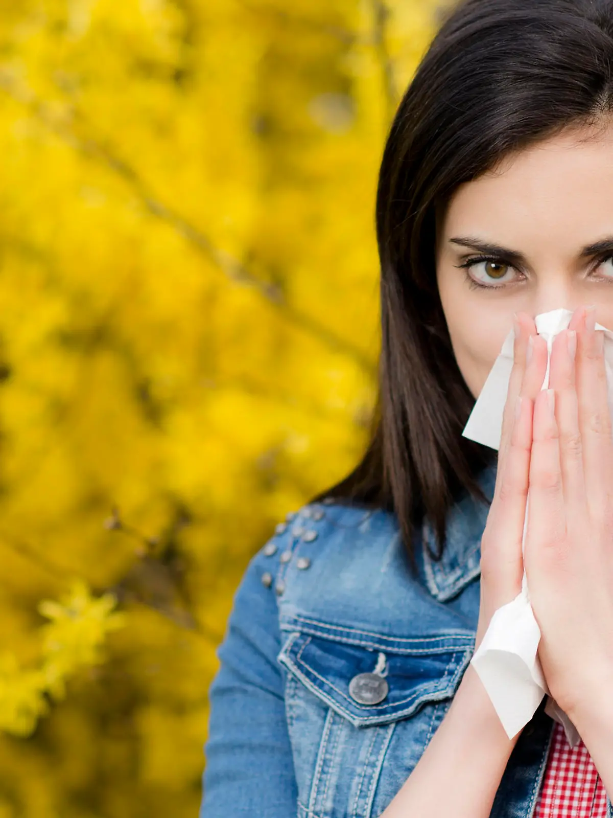 Bild zu: "Hyposensibilisierung eignet sich am besten im Herbst"