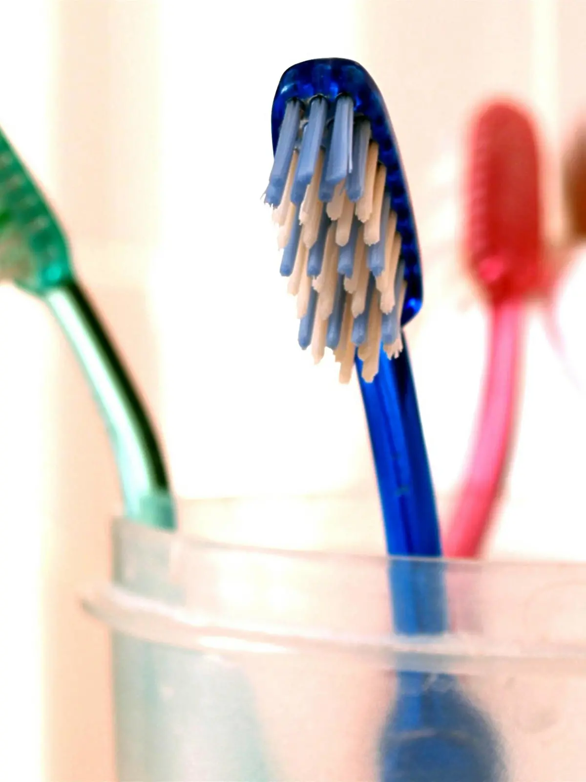 drei verschiedenfarbige Zahnbuersten in einem Glas | three toothbrushes in a glass