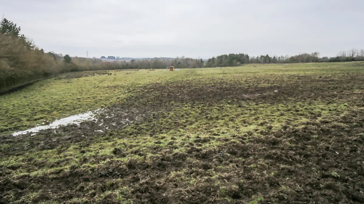 Auf den Weideflächen soll ein Neubaugebiet entstehen.