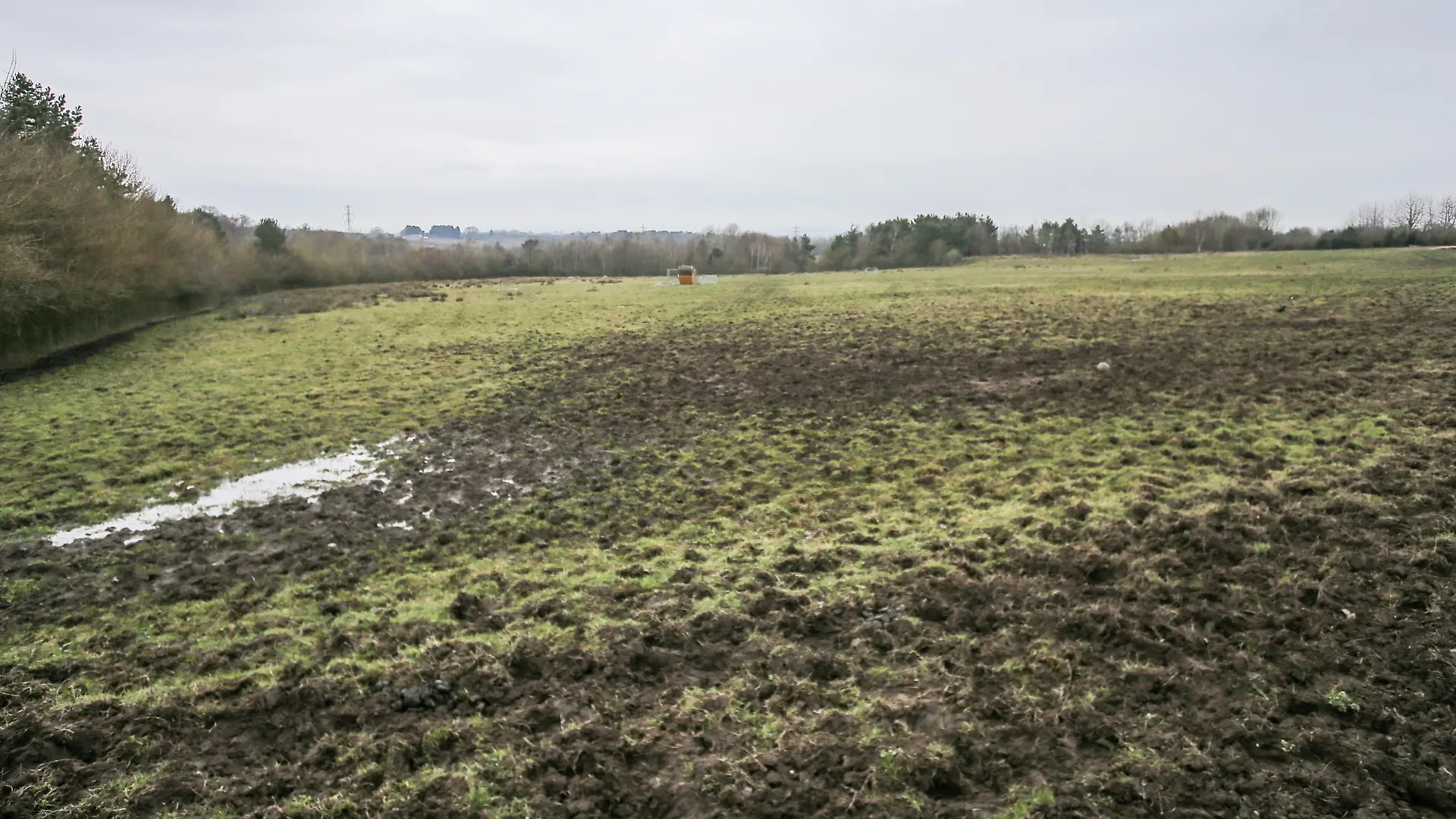 Auf den Weideflächen soll ein Neubaugebiet entstehen.