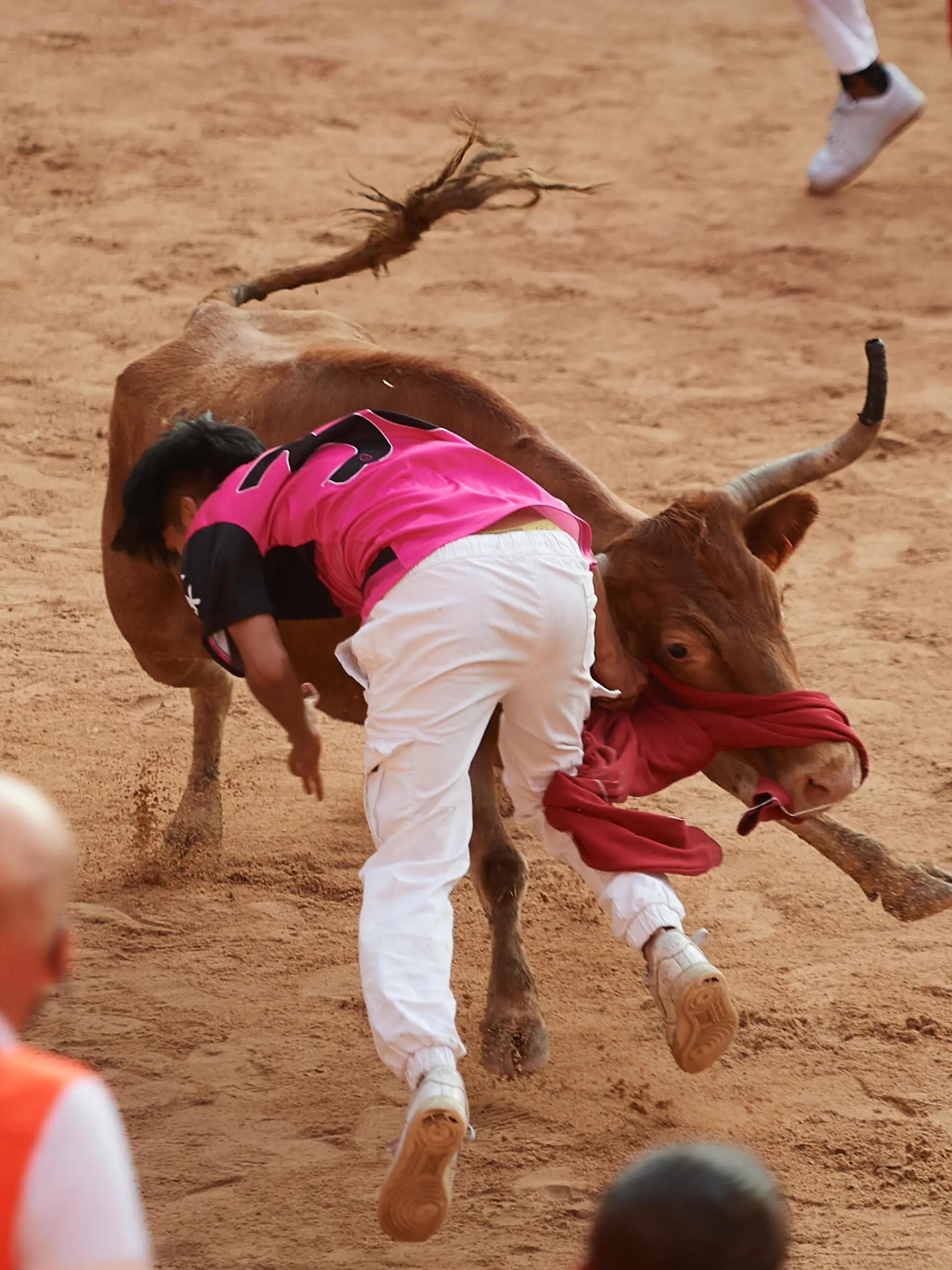 Bild zu: "Drei Verletzte am Schlusstag des Sanfermín-Festes in Pamplona "