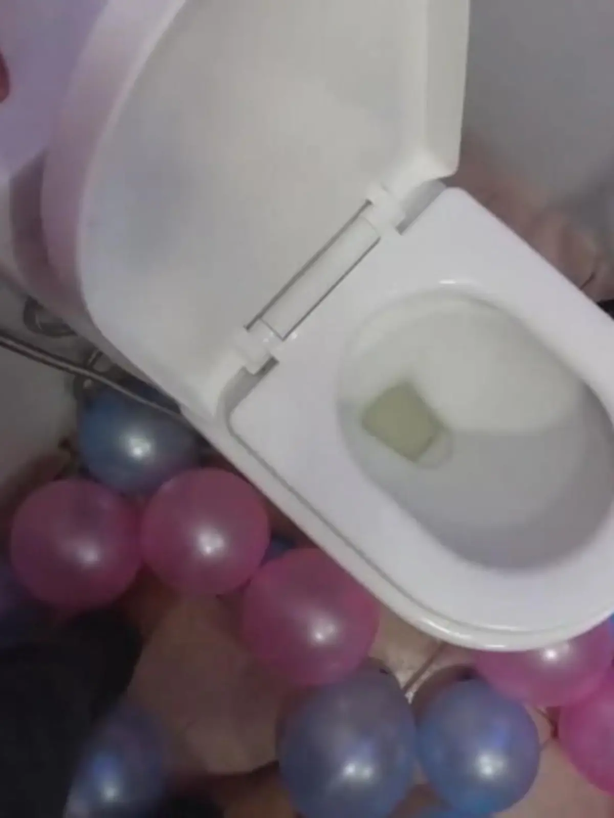 Diese Gender-Reveal-Party ist ein Griff ins Klo - genauer gesagt ein Griff an das Klo! Banong Delos Angeles hat seine Familie und Freunde eingeladen, bei der Enthüllung des Geschlechts seines Kindes dabei zu sein. Doch anstatt aufwändigem Feuerwerk oder Farbexplosionen hat er die Low-Budget-Variante gewählt.