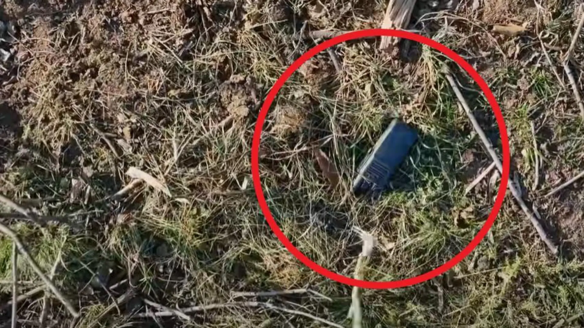 Der glückliche Fund im Video-