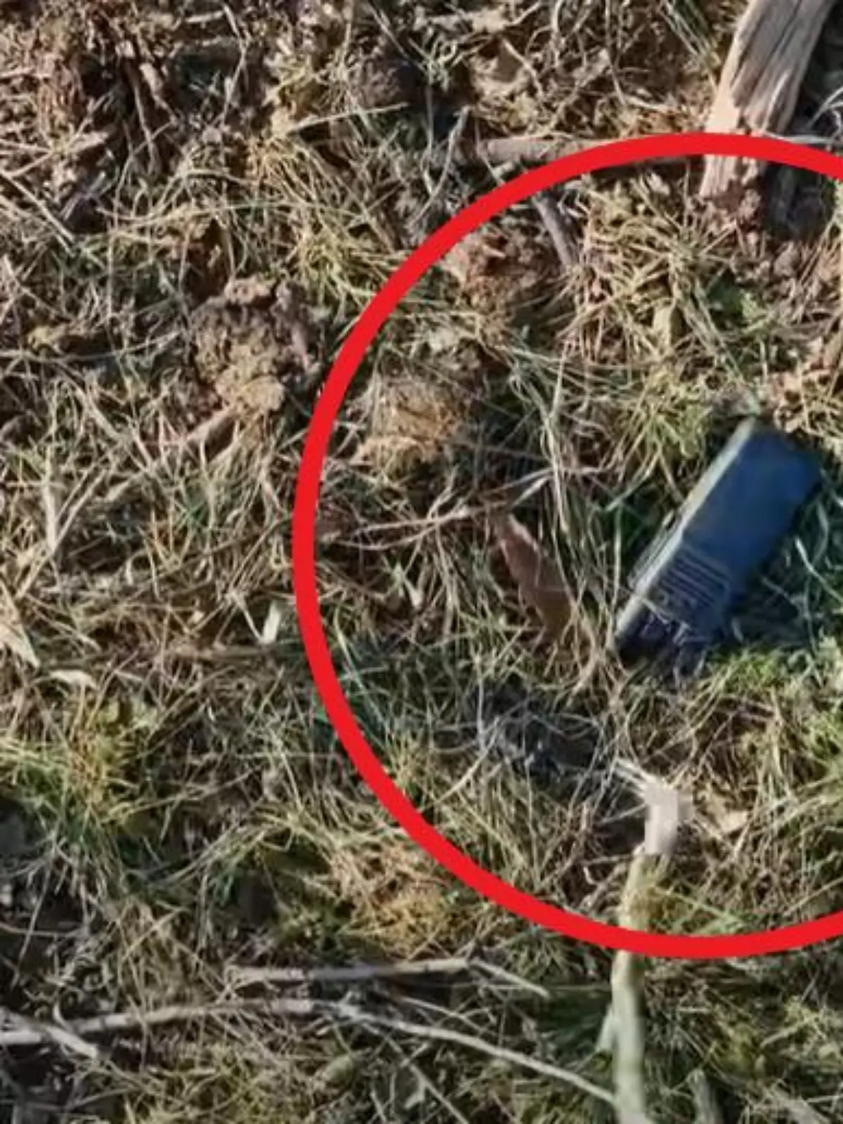Der glückliche Fund im Video-