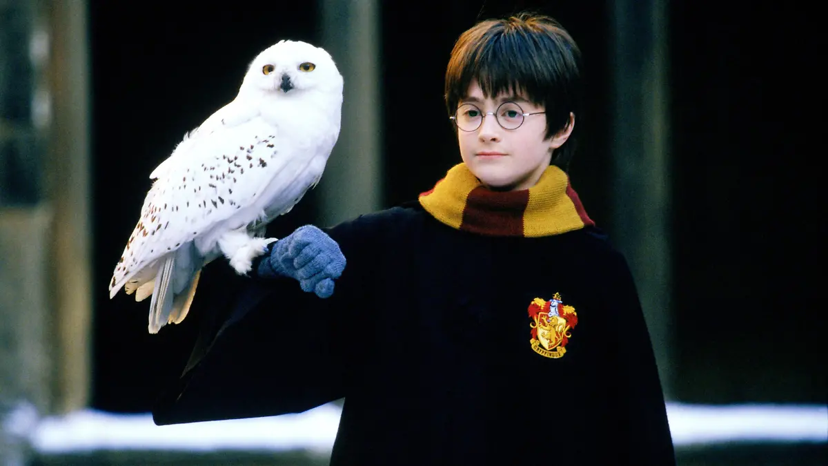 Harry Potter (Daniel Radcliffe) und Eule Hedwig