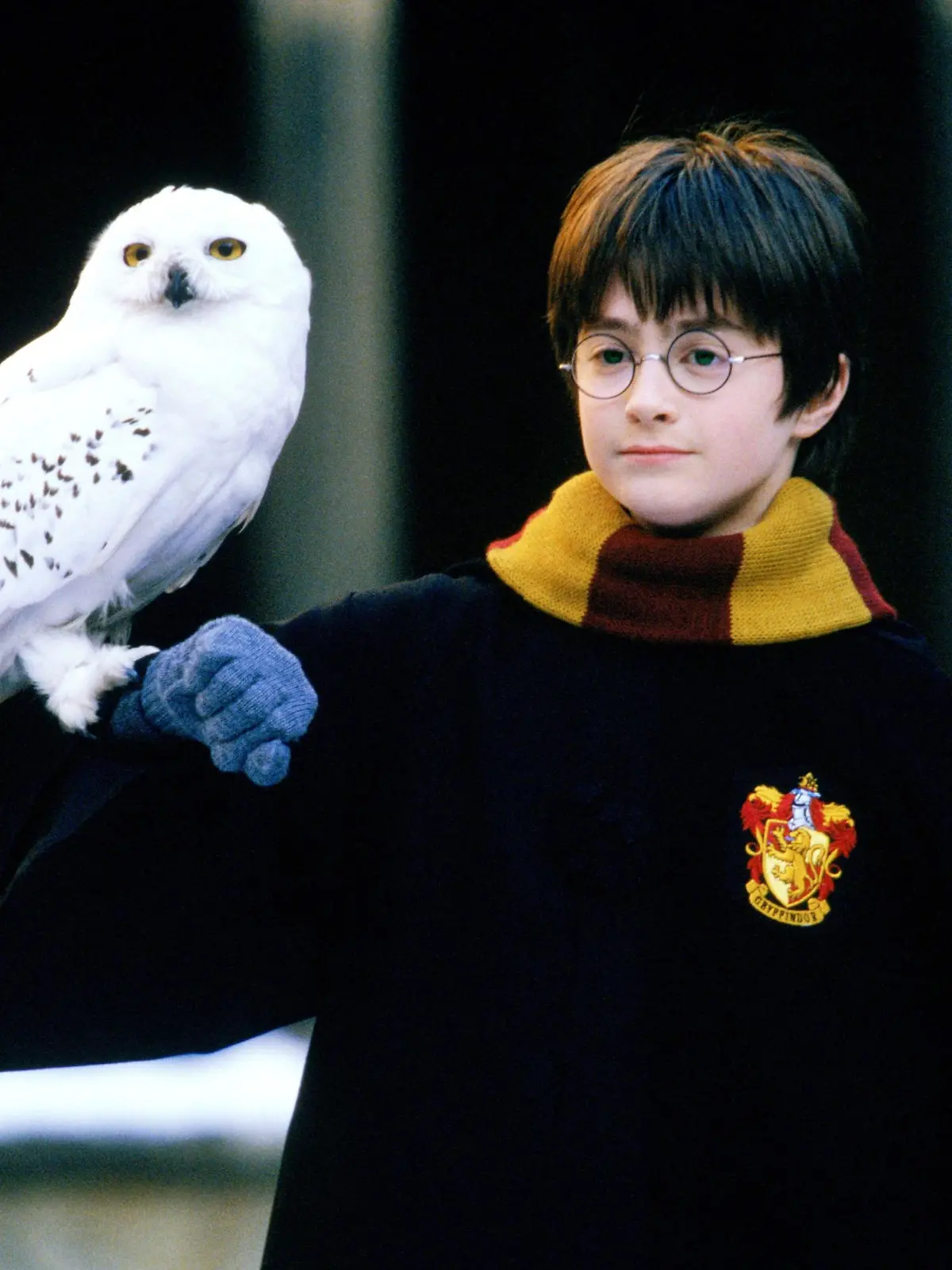 Harry Potter (Daniel Radcliffe) und Eule Hedwig
