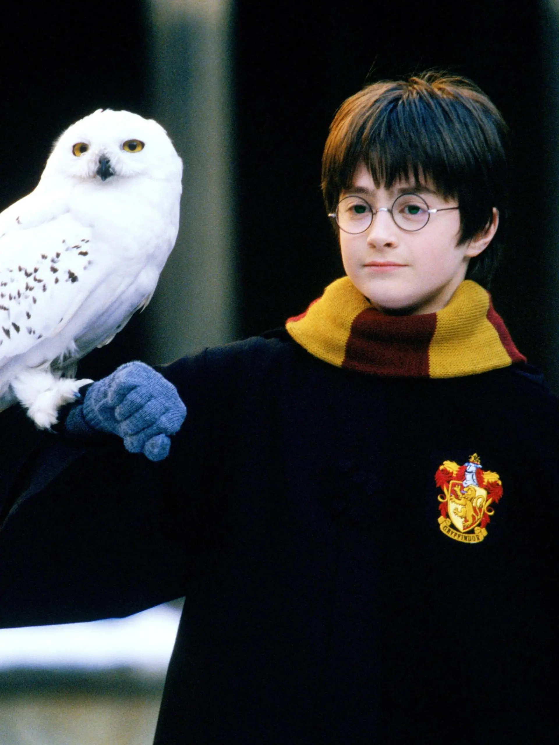 Harry Potter (Daniel Radcliffe) und Eule Hedwig