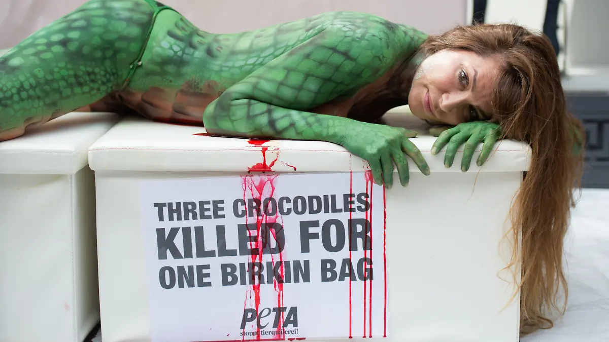 Mit einem Krokodil-Bodypainting auf ihrem ganzen Körper liegt die Schauspielerin Alexandra Kamp bei einer Peta-Protestaktion gegen Luxus-Handtaschen aus Krokodilleder der französischen Edelmarke Hermes am 26.08.2015 vor dem Hermès-Store am Neuen Wall in Hamburg. Unter ihr liest man auf einem Transparent: "Three crocodiles killed for one Birkin Bag". Foto: Daniel Reinhardt/dpa +++(c) dpa - Bildfunk+++