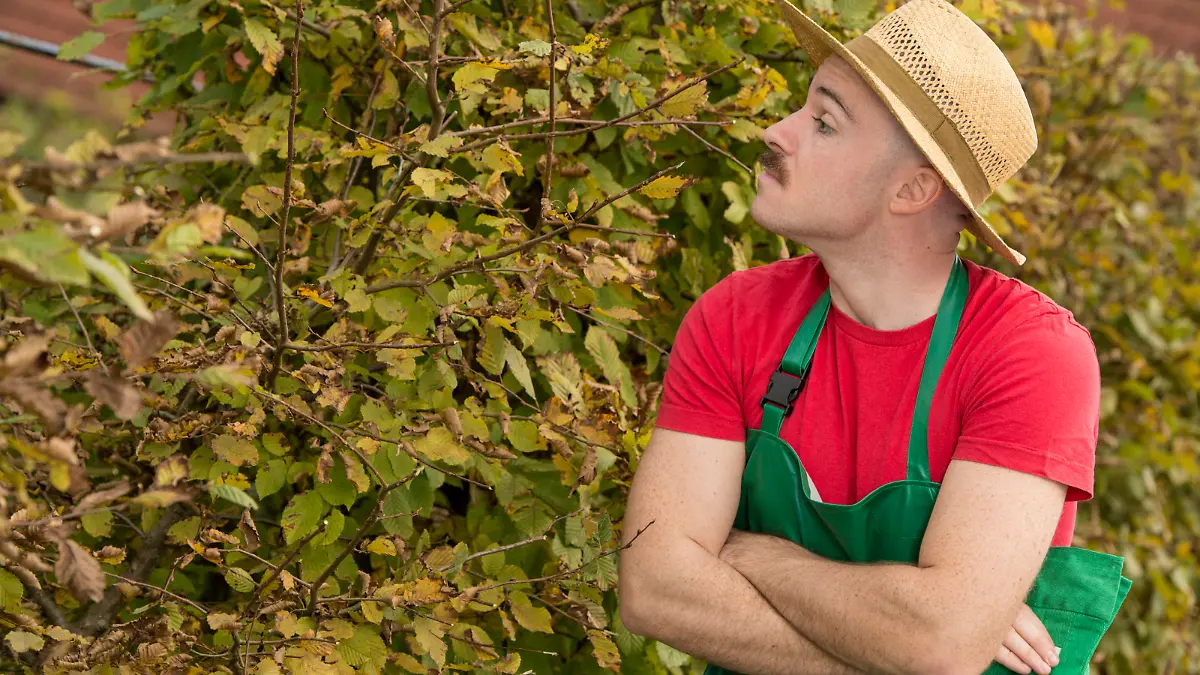 Neugieriger Nachbar schaut über die Hecke - curious neighbour Keine Weitergabe an Drittverwerter.