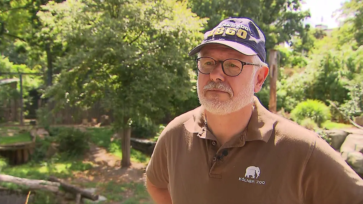 Der Direktor des Kölner Zoos, Prof. Theo Pagel, verteidigt die Entscheidung.